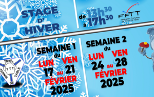 [Stage] Stage d'Hiver