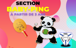 Section Baby-Ping