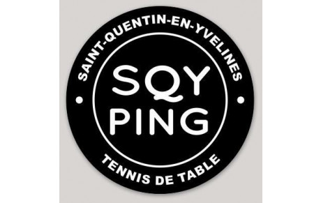 SQY Ping